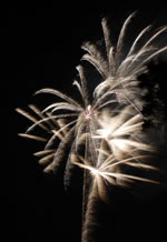 Newport Dunes Resort Fireworks Show